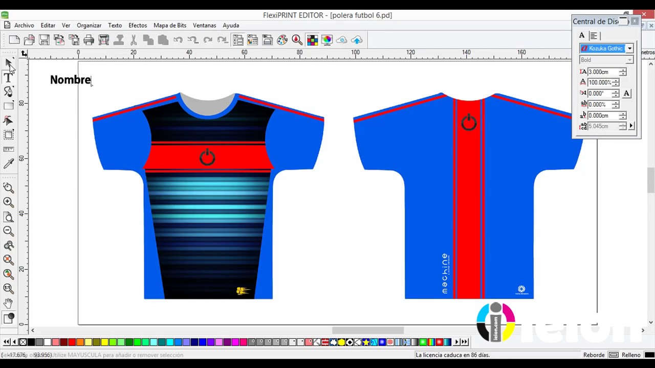 FlexiPRINT IEION    Editor Camisas con Datos Variables    (Español)