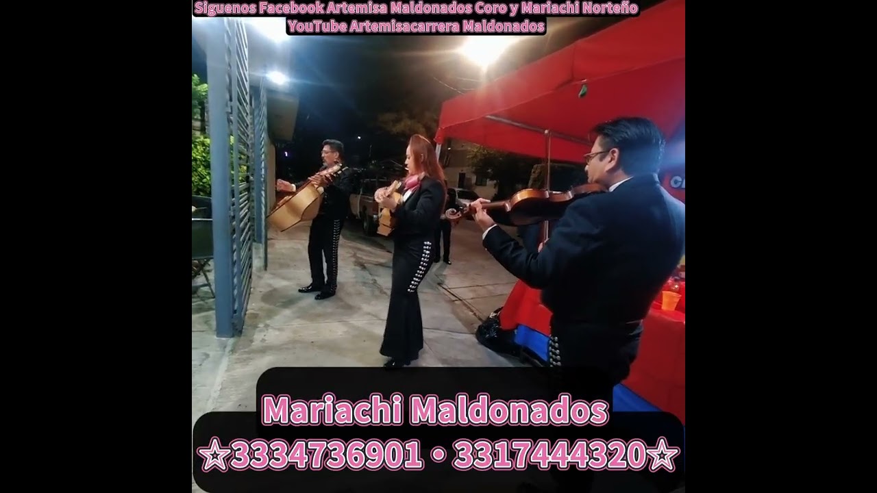 Mariachi Tel.3334736901