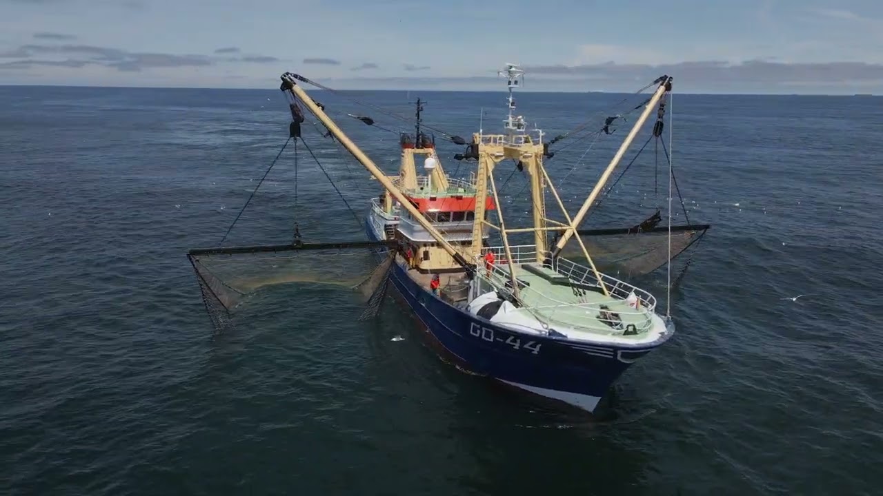 GO 44 QUO VADIS #fishing  #northsea #beautiful #fisherman