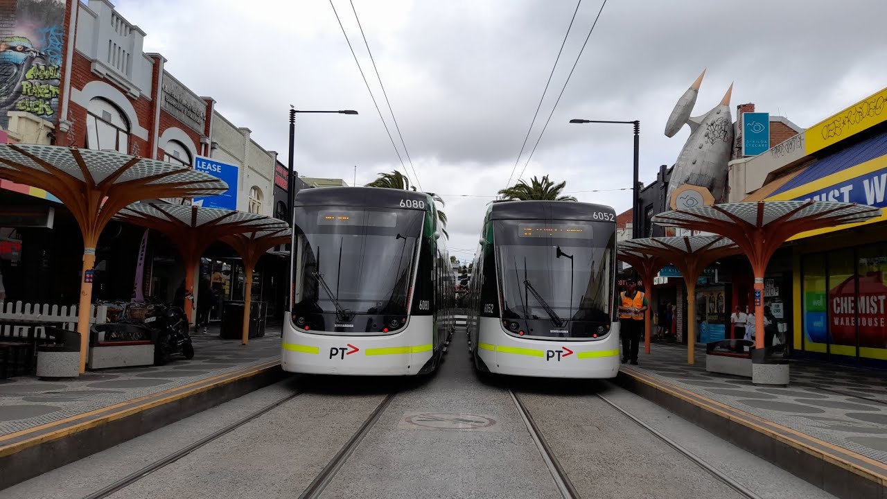 E Class trams, Pigeons and Seagulls at Acland Street Tram Terminus