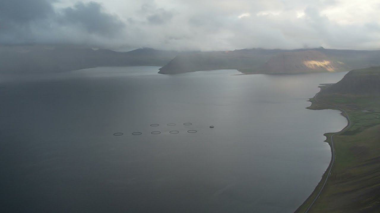 B&iacute;ldudalur, Iceland 4K 60FPS