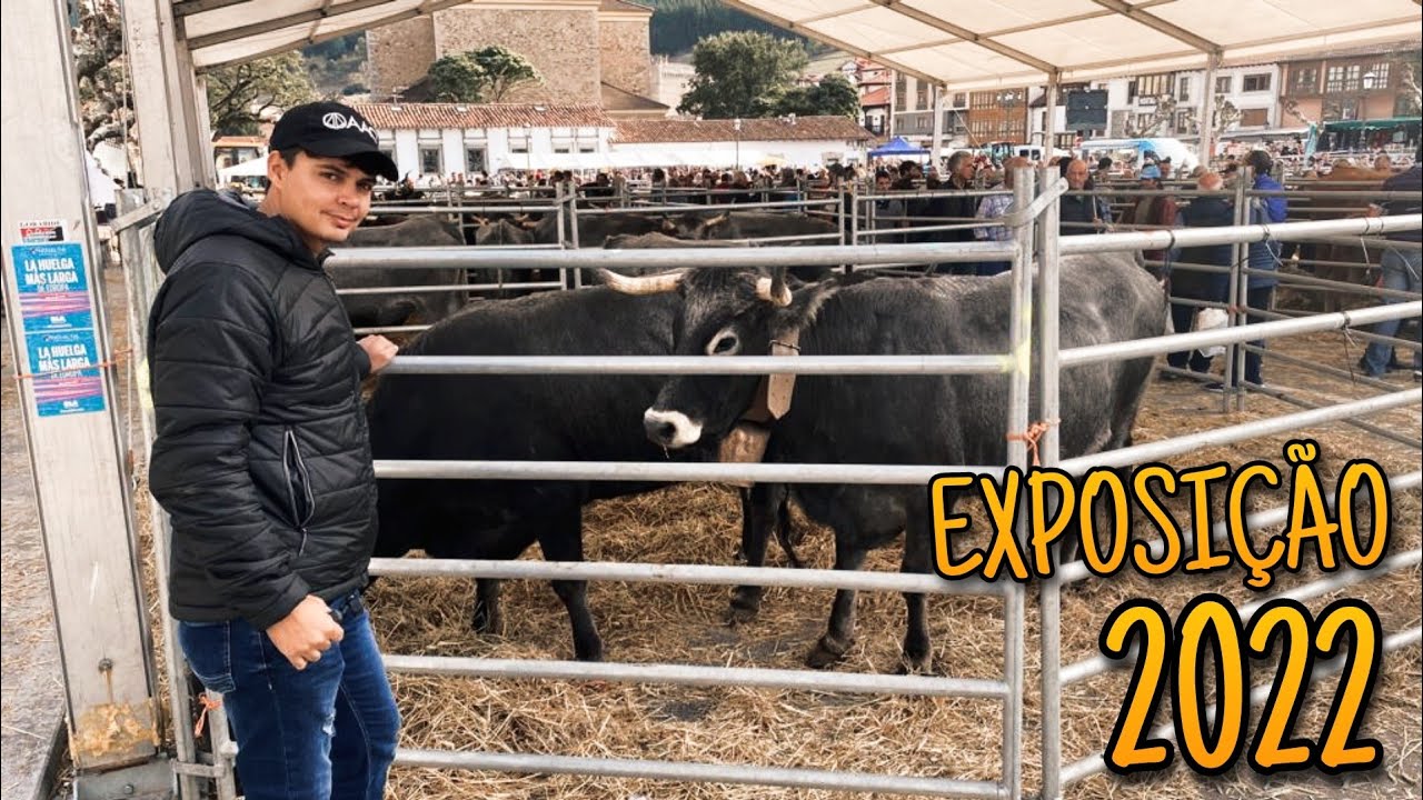 Feria Ganadera de Potes 2022, Lo Mejor 🇪🇸🐂😍