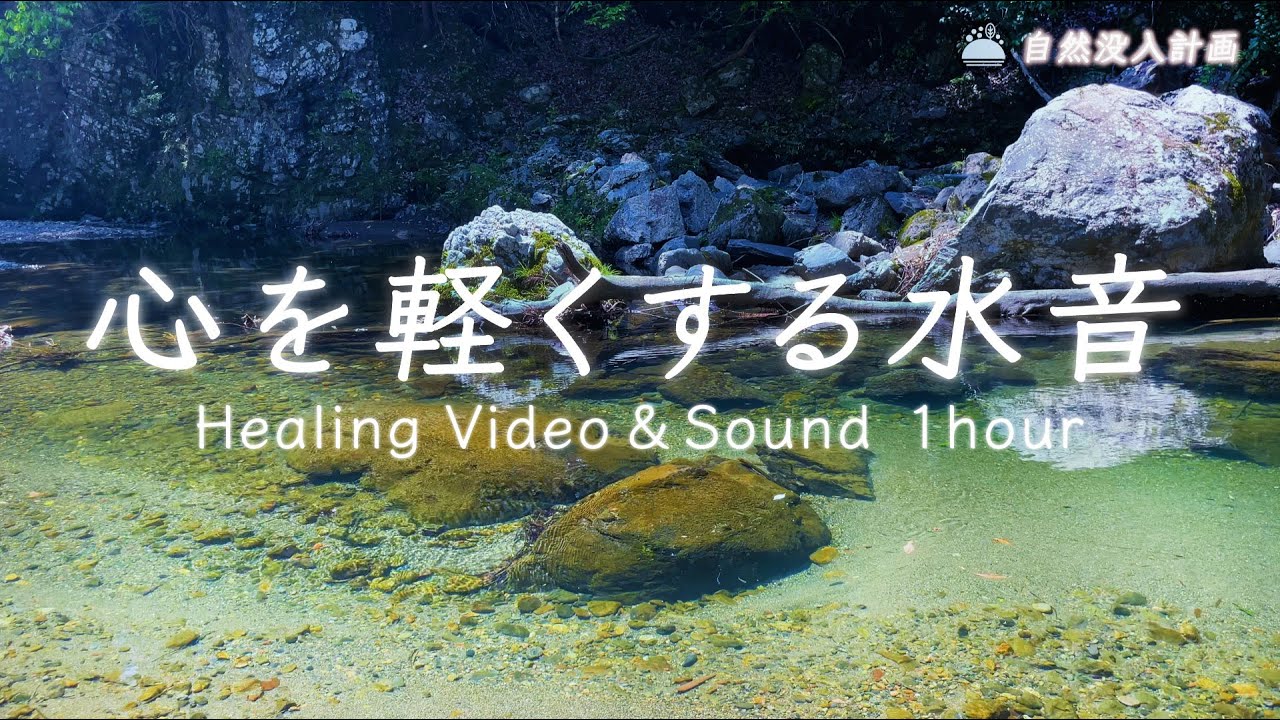 【優しい水音】余計な力を抜いてくれる川のせせらぎに癒される1時間【自然環境音｜睡眠用bgm｜清滝川/京都府】