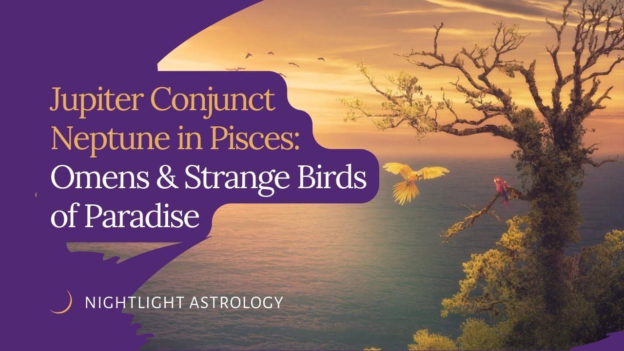 Jupiter Conjunct Neptune in Pisces: Omens and Strange Birds of Paradise