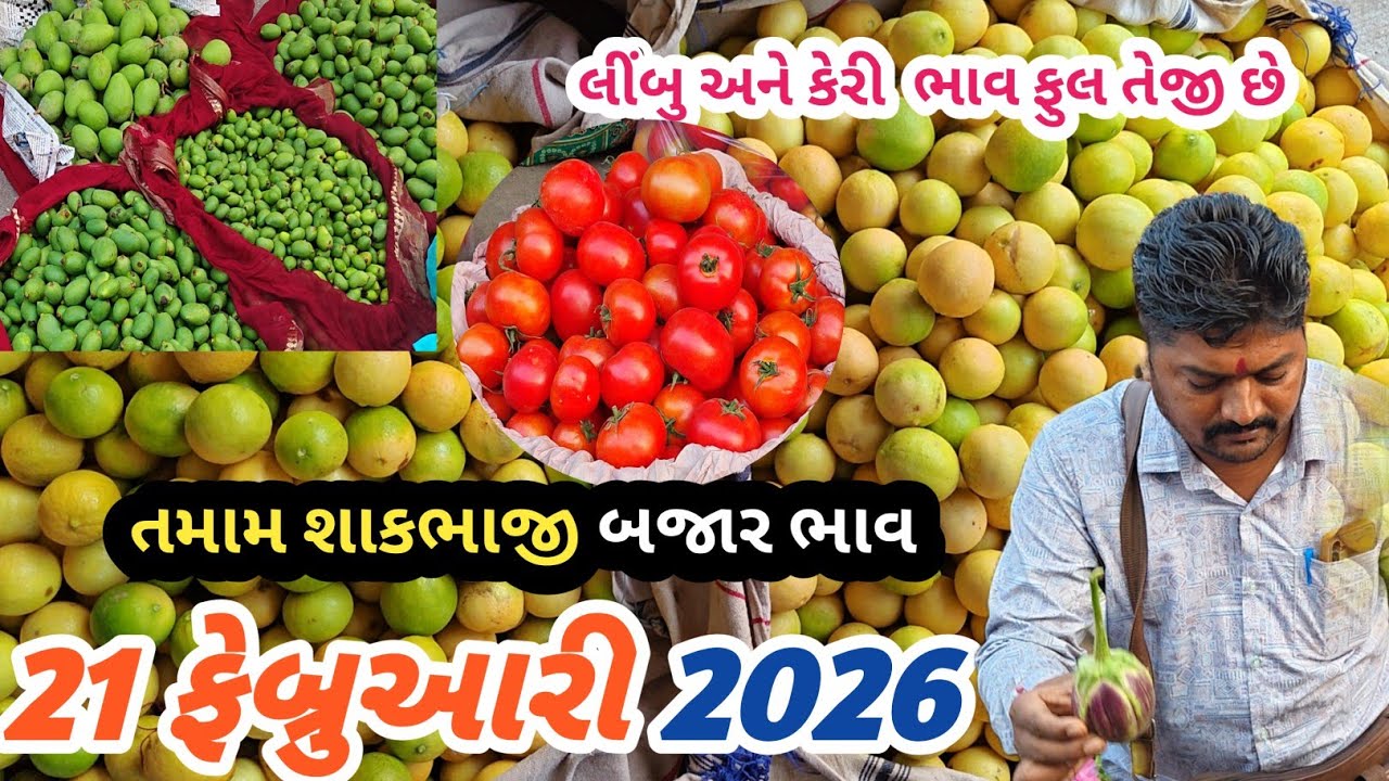 21 February 2026 .કેરી બજાર ભાવ ફુલ તેજી છે | રીંગણ એન લીંબુ 🍋 ભાવ વધારો | તળાજા માર્કેટ યાર્ડ 