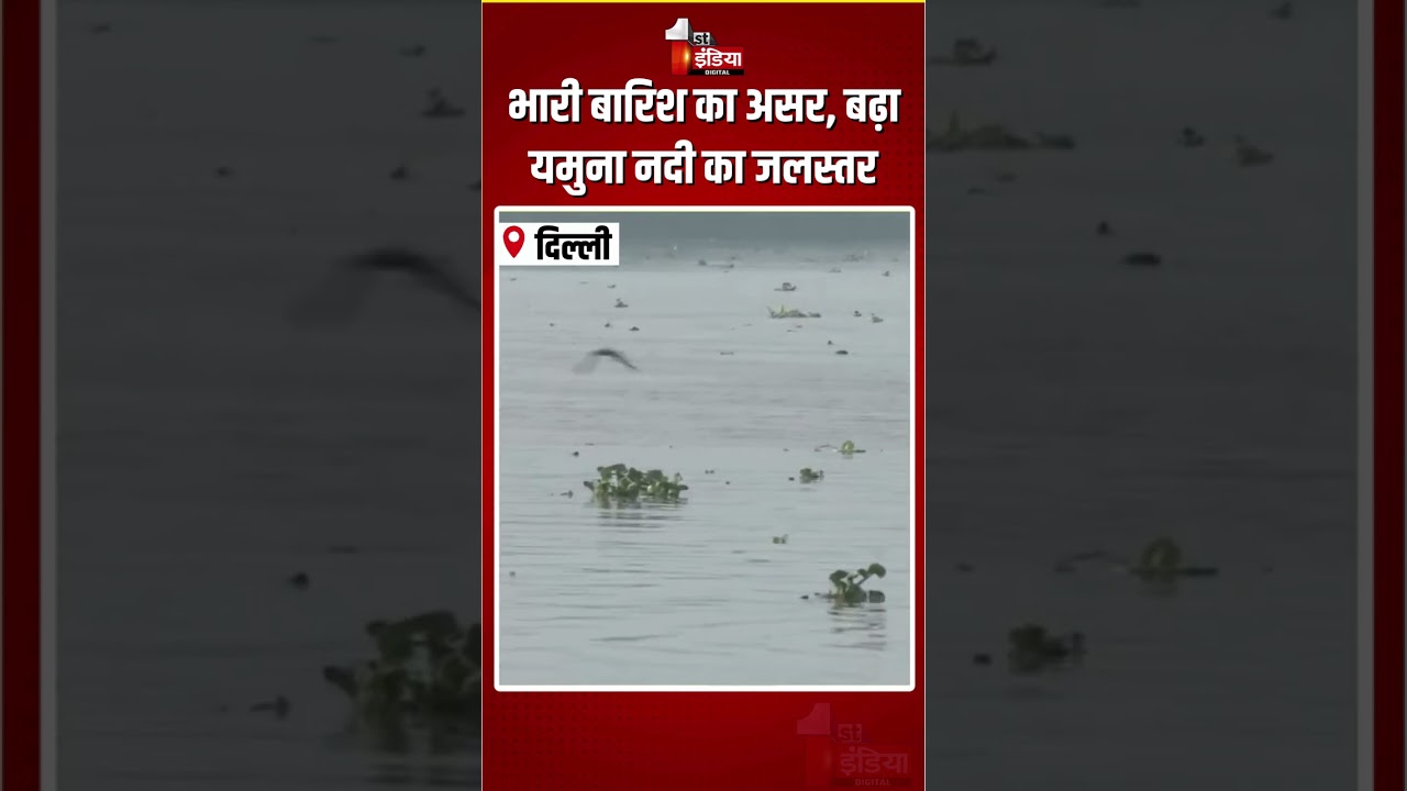 Yamuna River Water Level Increase: भारी बारिश का असर, बढ़ा यमुना नदी का जलस्तर | Heavy Rain In Delhi