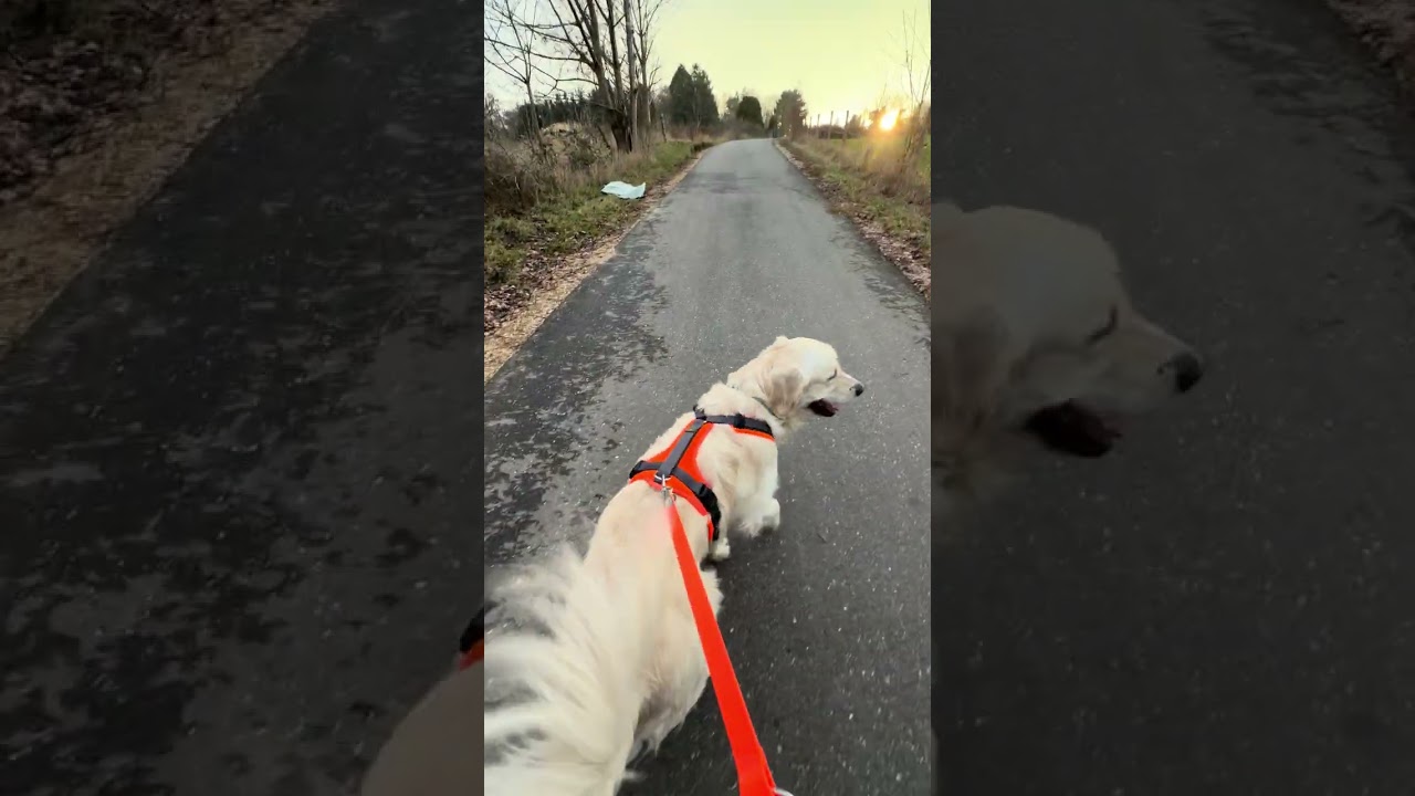 Spaziergang mit Baluo