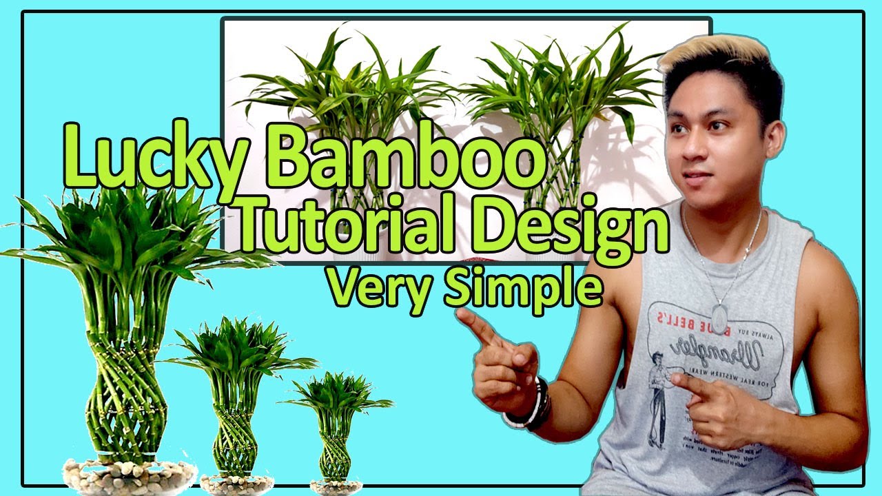 LUCKY BAMBOO TUTORIAL  II HOW TO MAKE SIMPLE DESIGN II VERY EASY