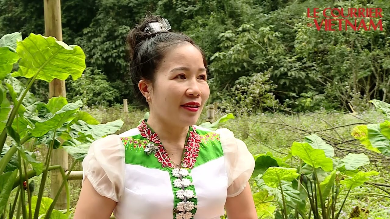 La transformation numérique au service du développement durable à Vân Hô