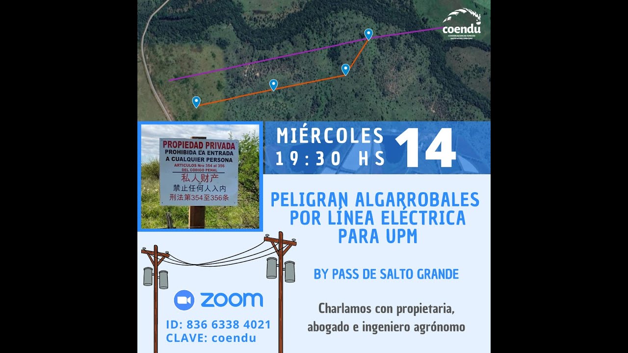 Pérdida de algarrobal por línea de UTE para UPM