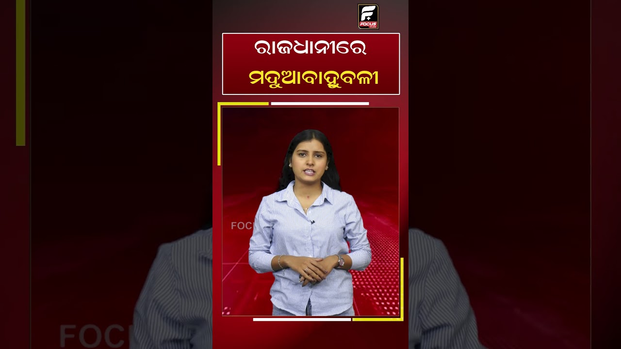 ରାଜଧାନୀରେ ମଦୁଆବାହୁବଳୀ || REELS || DAILY ODISHA NEWS || FOCUS PLUS