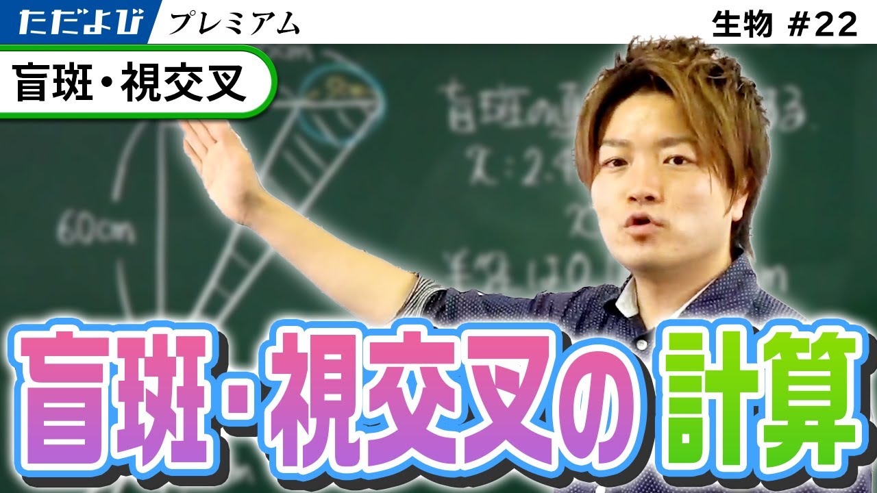 【生物】盲斑・視交叉
