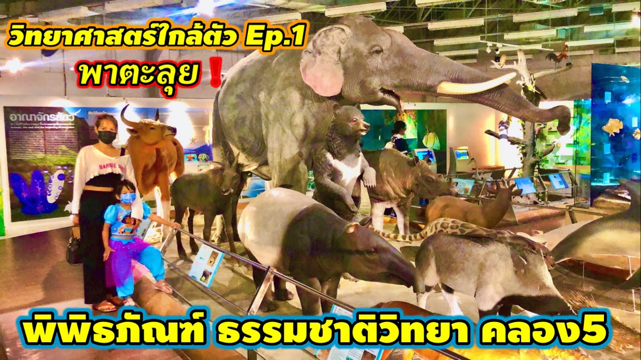 ตะลุย Museum พิพิธภัณฑ์ ธรรมชาติวิทยา รังสิตคลอง5 ล่าสุด