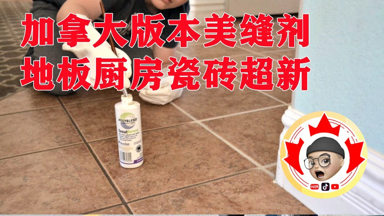 加拿大版本美缝剂 家庭必备 超级简单