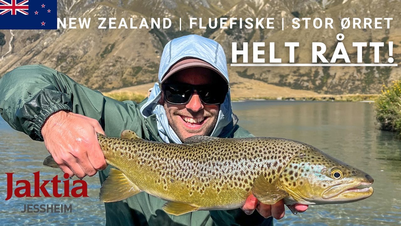 Fluefiske på New Zealand - Mitt første møte: stor fisk, betennelse, frustrasjon og glede!
