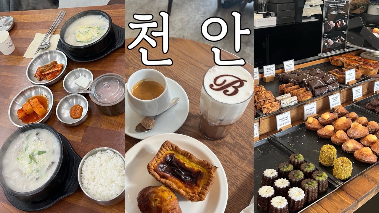 [SUB] 뚜벅이 천안 여행 당일치기 vlog | 순대국밥 맛집, 빵 맛집 | 박순자 아우내 순대, 브루어스 커피, 뚜쥬르, 타운홀, 할머니 학화호도과자