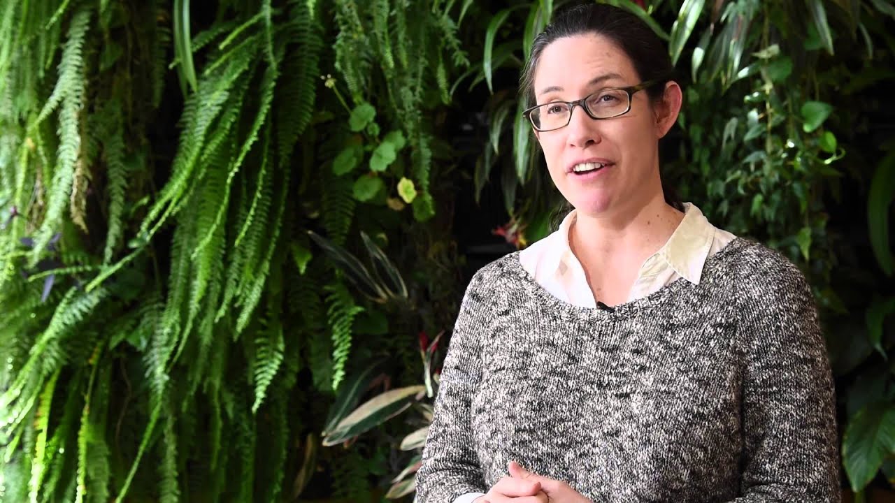 Annie Murphy Paul on The Epigenetic Revolution