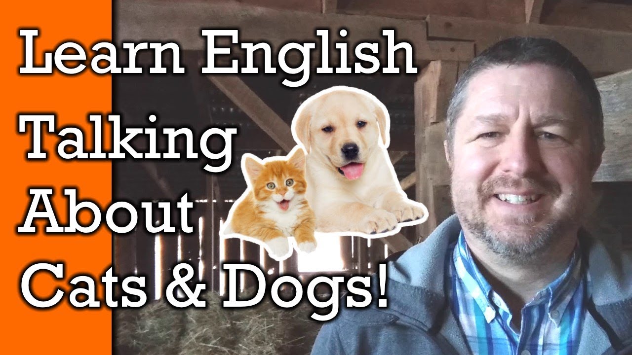 Cats and Dogs! Learn English Words and Phrases to Talk About Pets