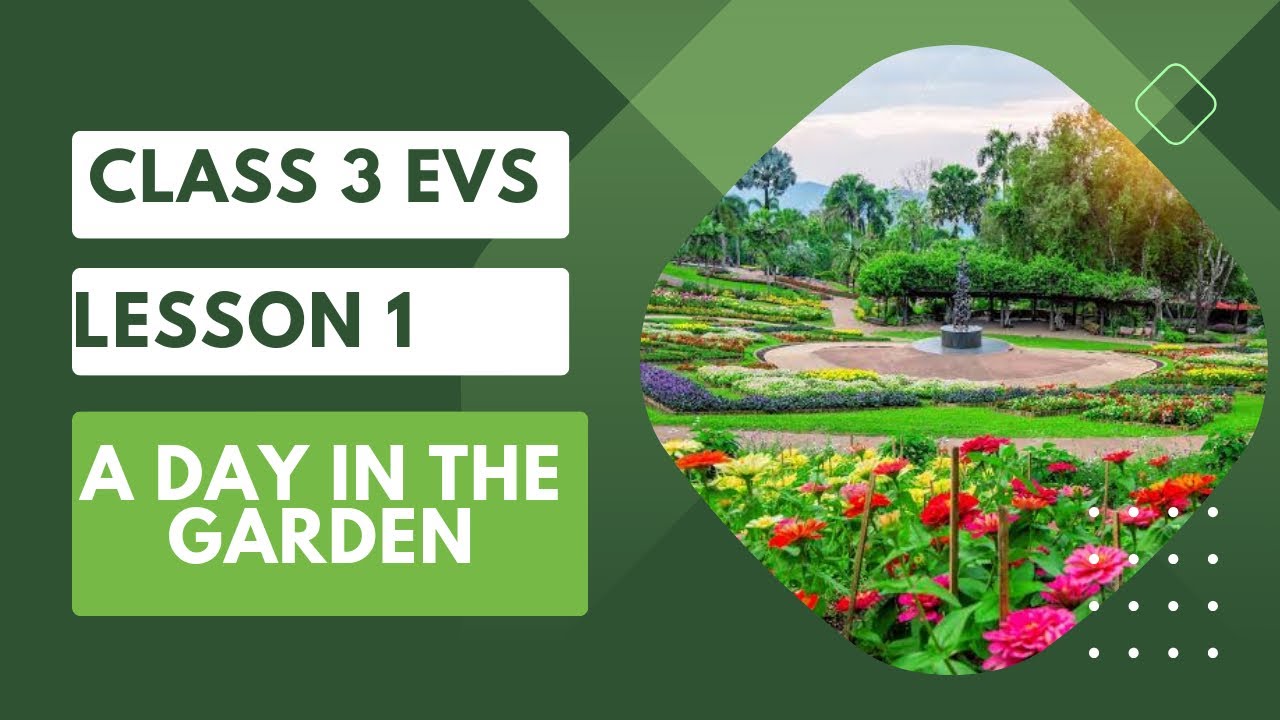Class 3 EVS | Lesson 1 | A Day In The Garden