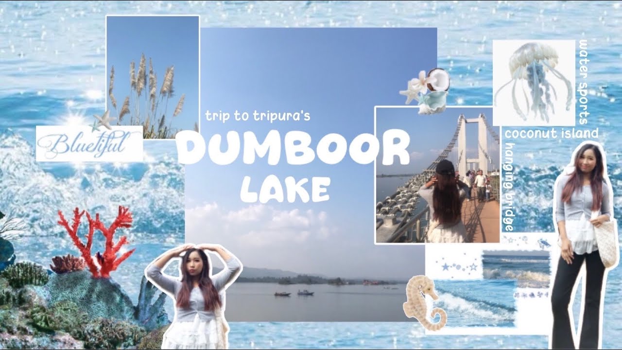 dumboor vlog˖°𓇼🌊⋆🐚🫧