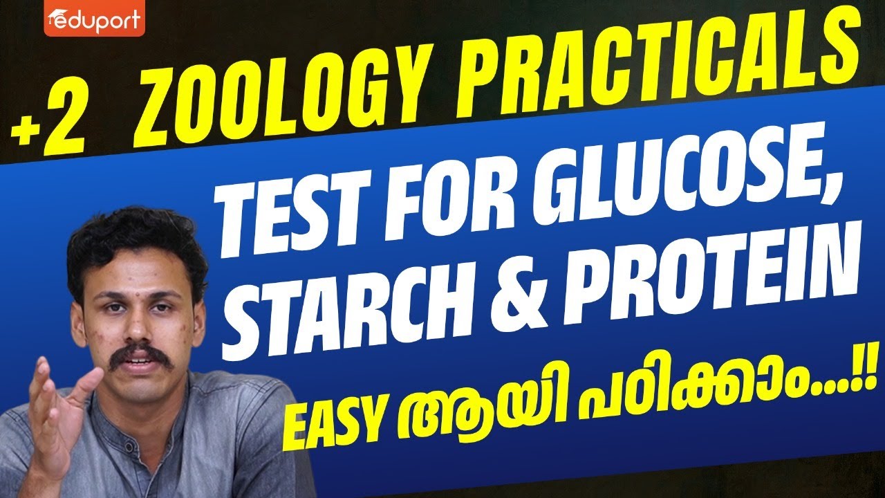 Plus Two Zoology Practicals | Test for Glucose, Starch, Protein | Eduport Plus Two