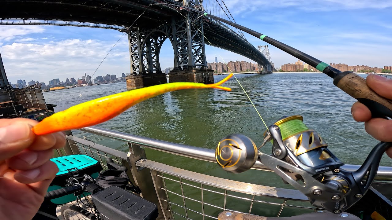 East River Fishing NYC