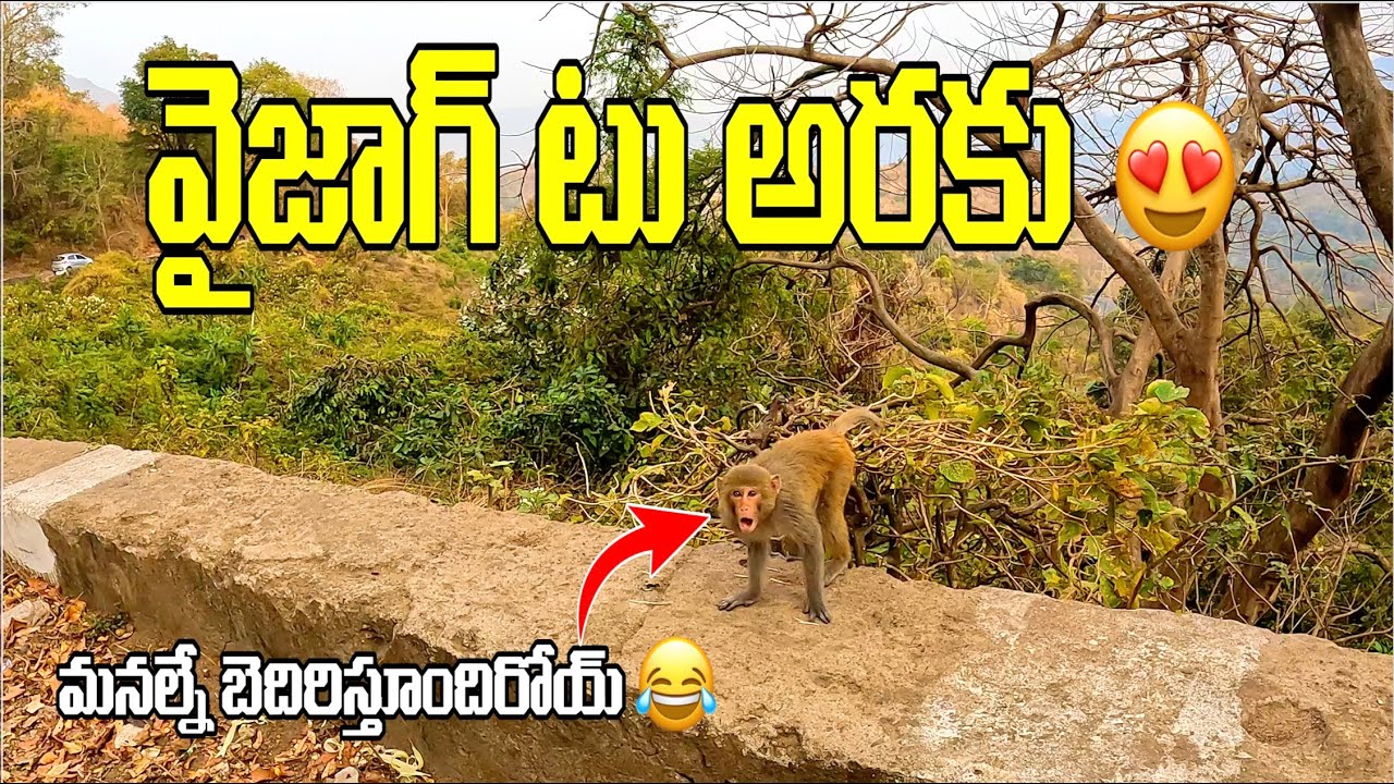 Vizag to Araku Bike Ride with Subscriber🏍️|Araku Valley Road Trip|Best Bike Ride in Andhra Pradesh 🌄