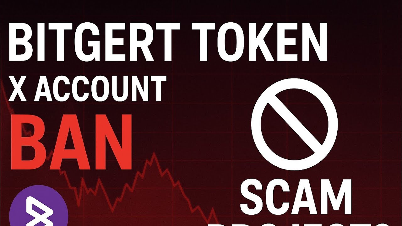 Bitgert Brise Coin News Today | Bitgert Token X Account Ban - ( Bitgert Token Scam? )
