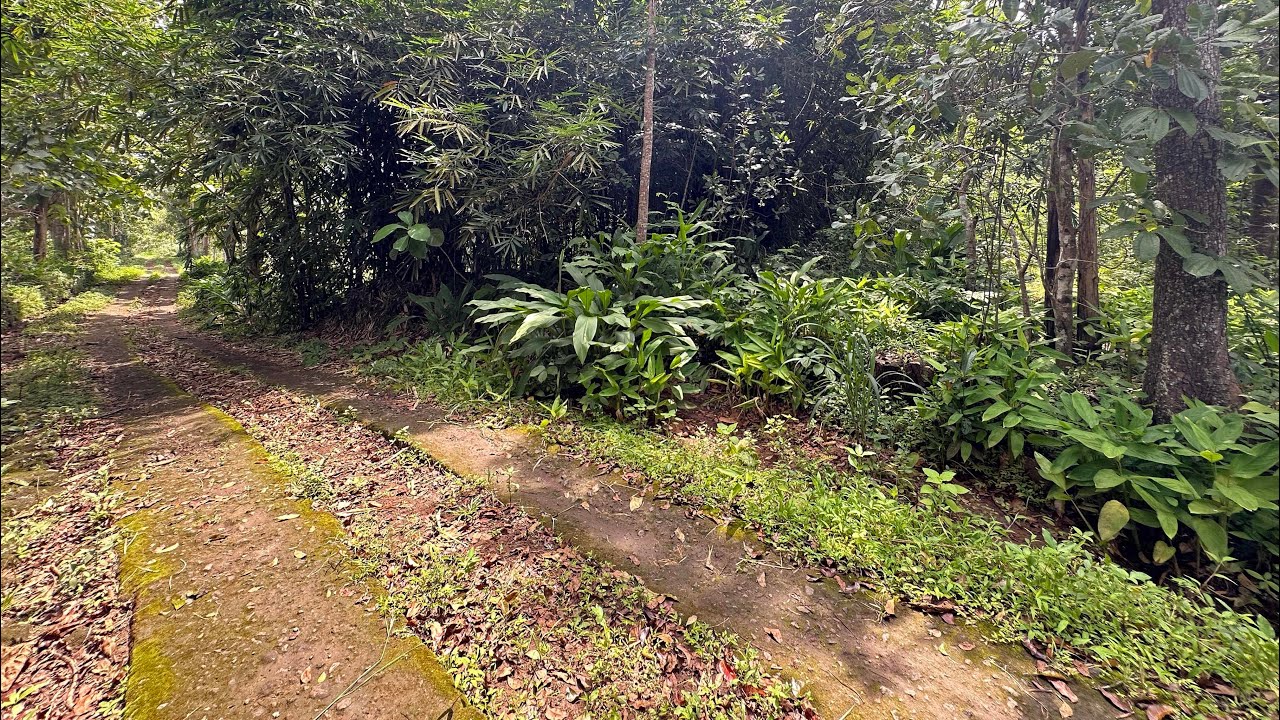 Tanah pekarangan luas kawasan batas kota Gunungkidul dengan klaten