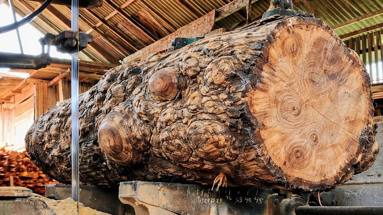 AMAZING! THE DISCOVER OF LUXURY BOARDS OUR WOOD FACTORY'S SUPERIOR TEAK WOOD