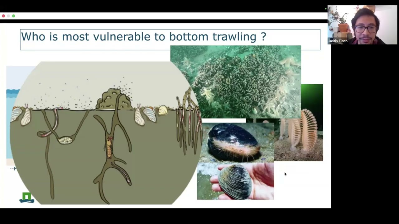 Bottom Trawling in European MPAs | Impacts, Governance & Legal Pathways (full version)