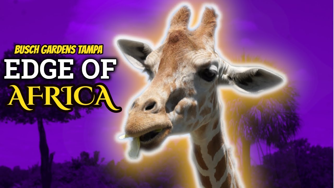Busch Garden's Edge of Africa