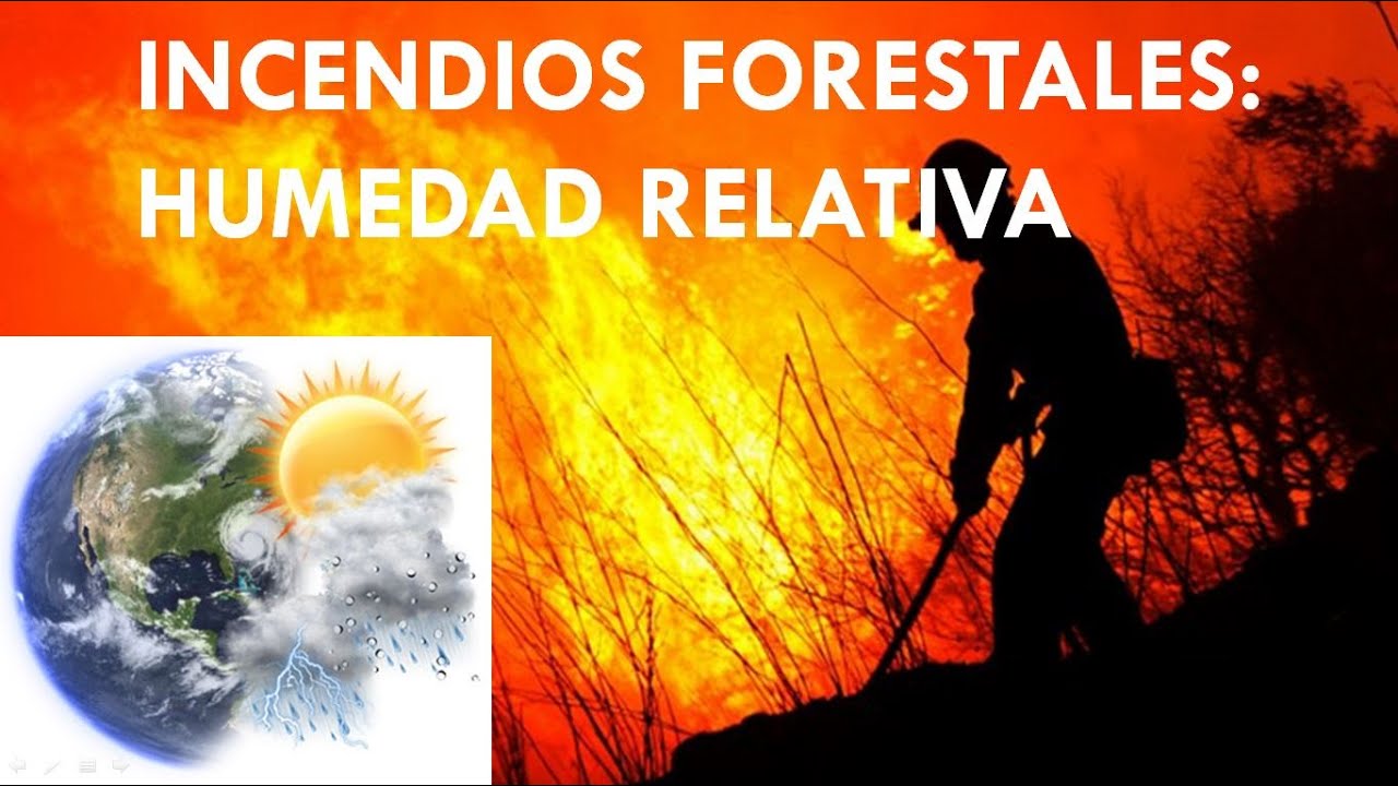 INCENDIOS FORESTALES: HUMEDAD RELATIVA