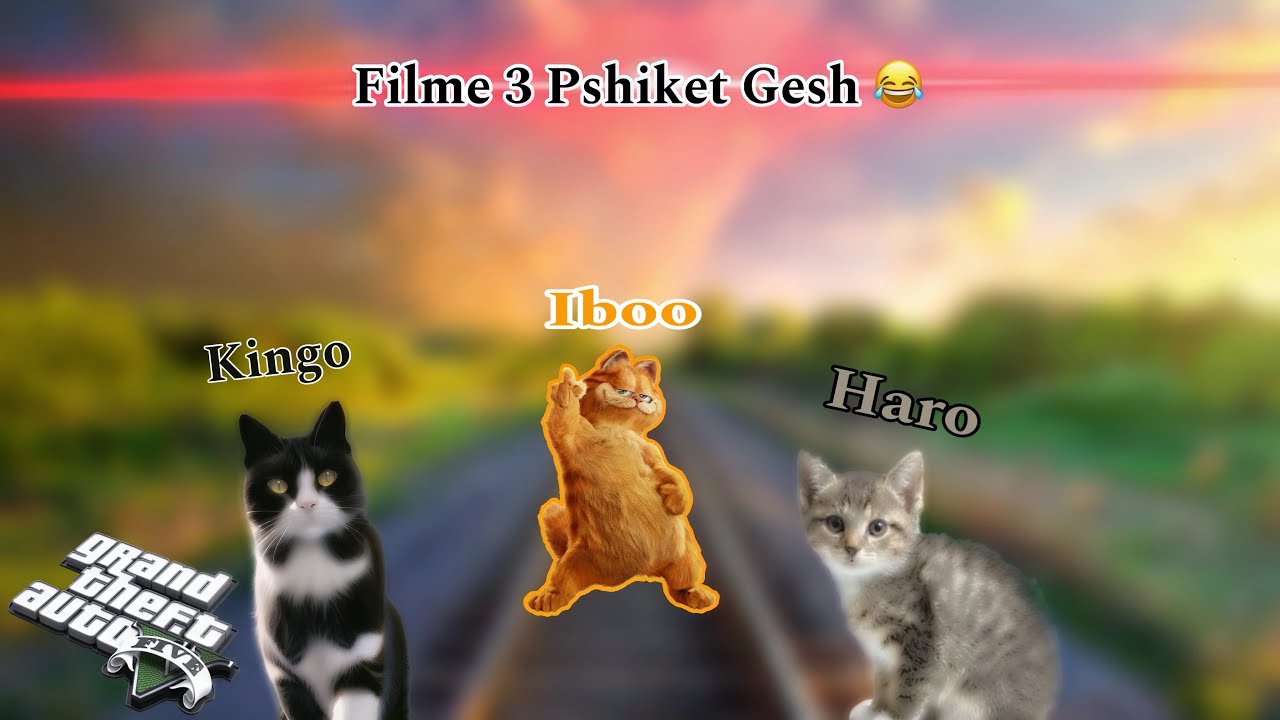 Am bona pshik 🐱