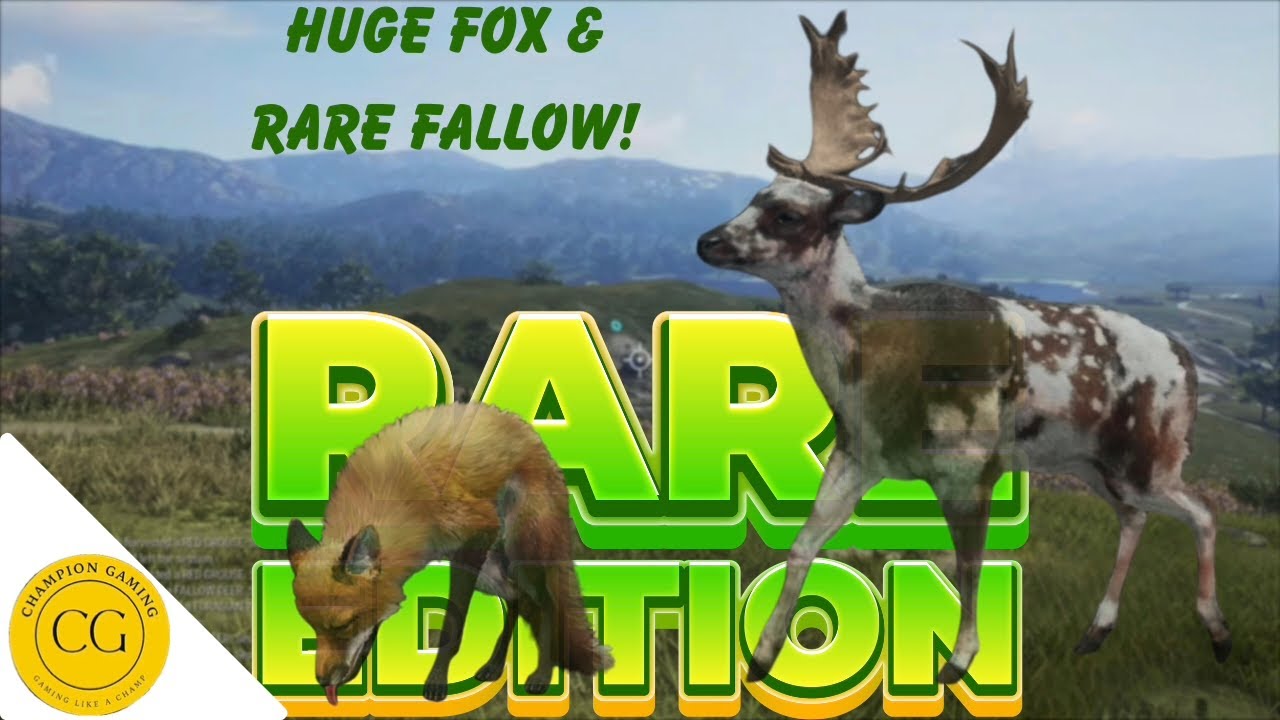 Huge Fox & Rare Fallow! theHunter: Call of the Wild
