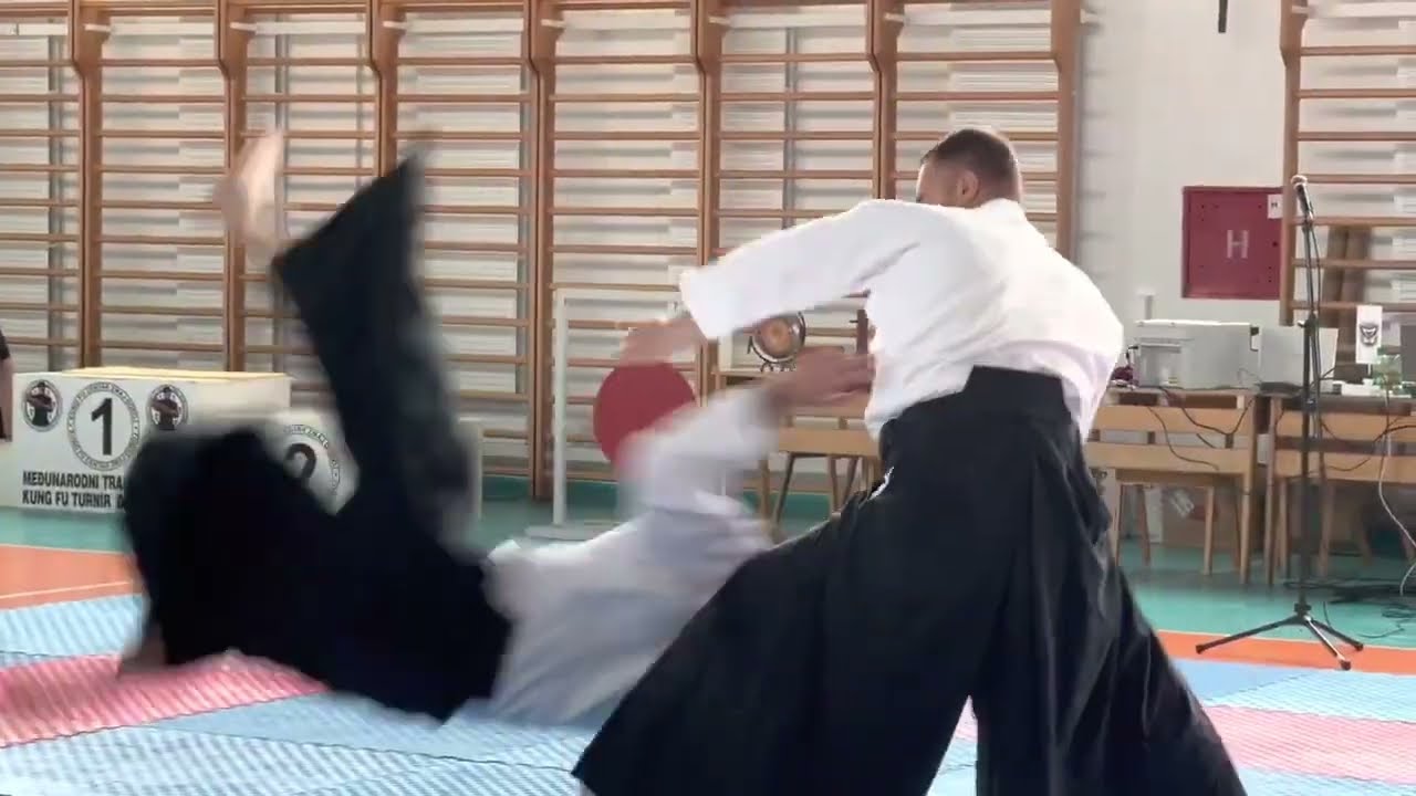 Aikido at WCG - Preparation video / Montenegro (Janko Buric)