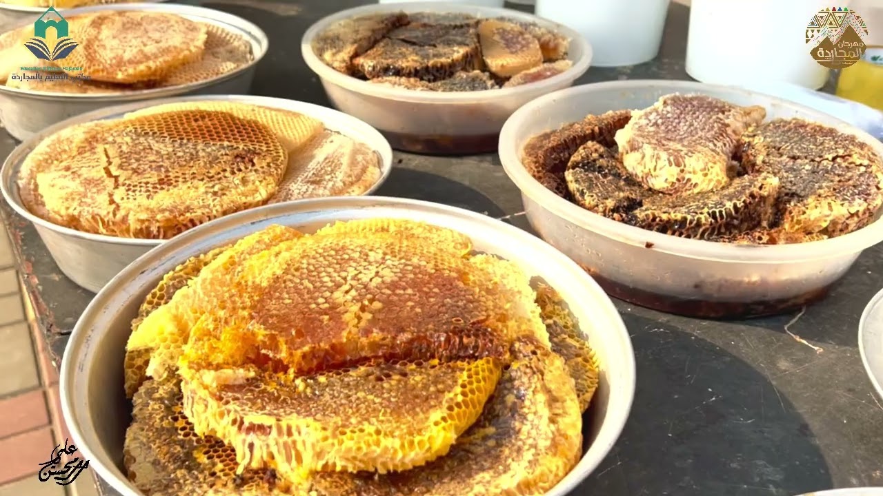 ((ردية)) مركز حضارة مهرجان المجاردة الشتوي مع الشاعر المبدع صالح جراد  اخراج المبدع علي العبسي