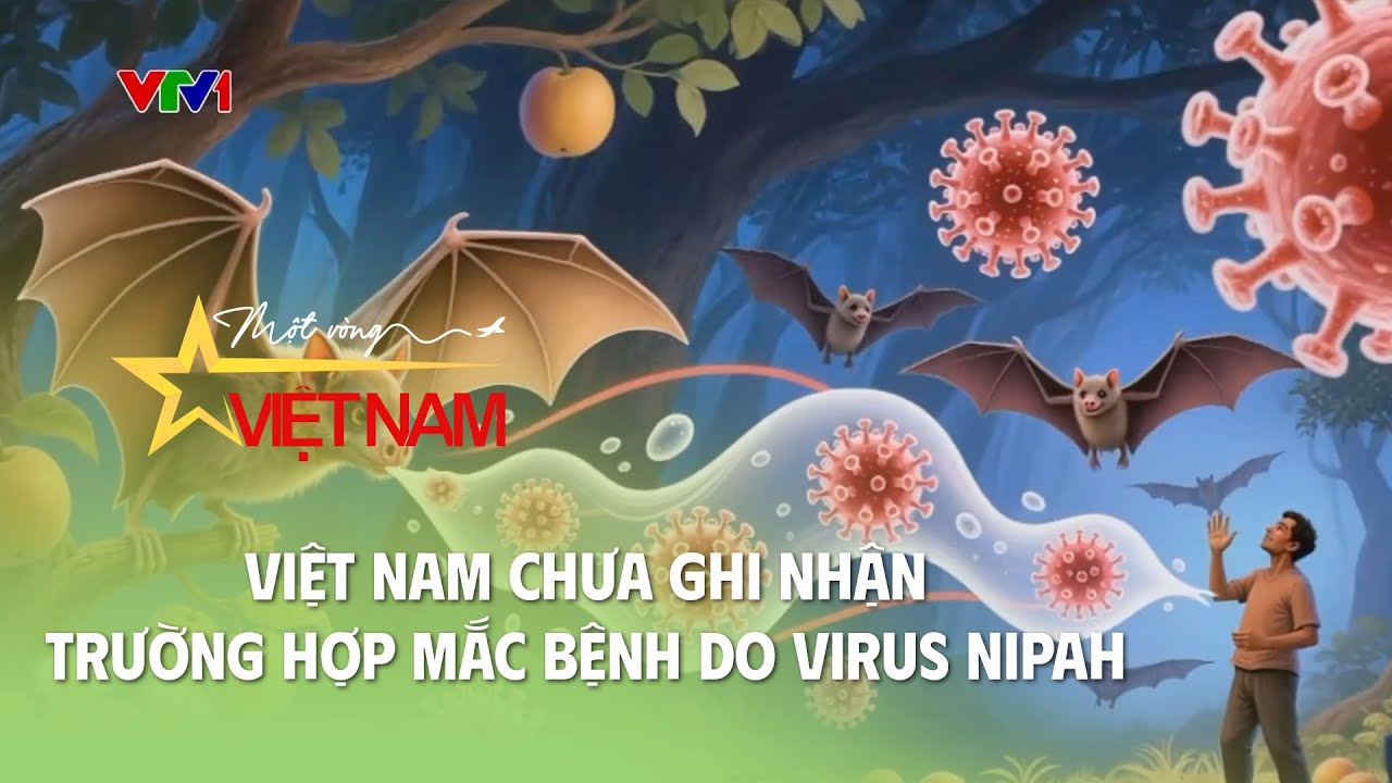 Việt Nam chưa ghi nhận trường hợp mắc bệnh do virus Nipah | Cụm tin | Thời báo VTV
