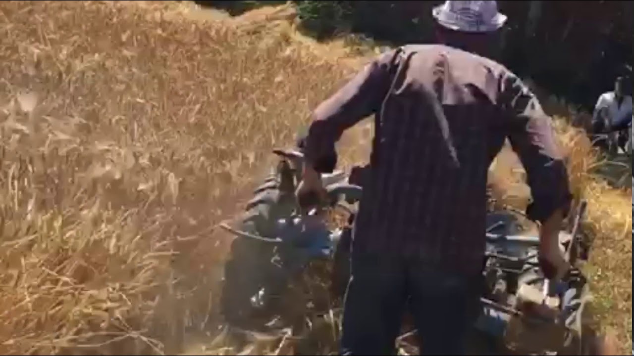 PatPat(ÇapaMotoru) ile Ekin Biçme  (Amasya Taşova Alçakbel)