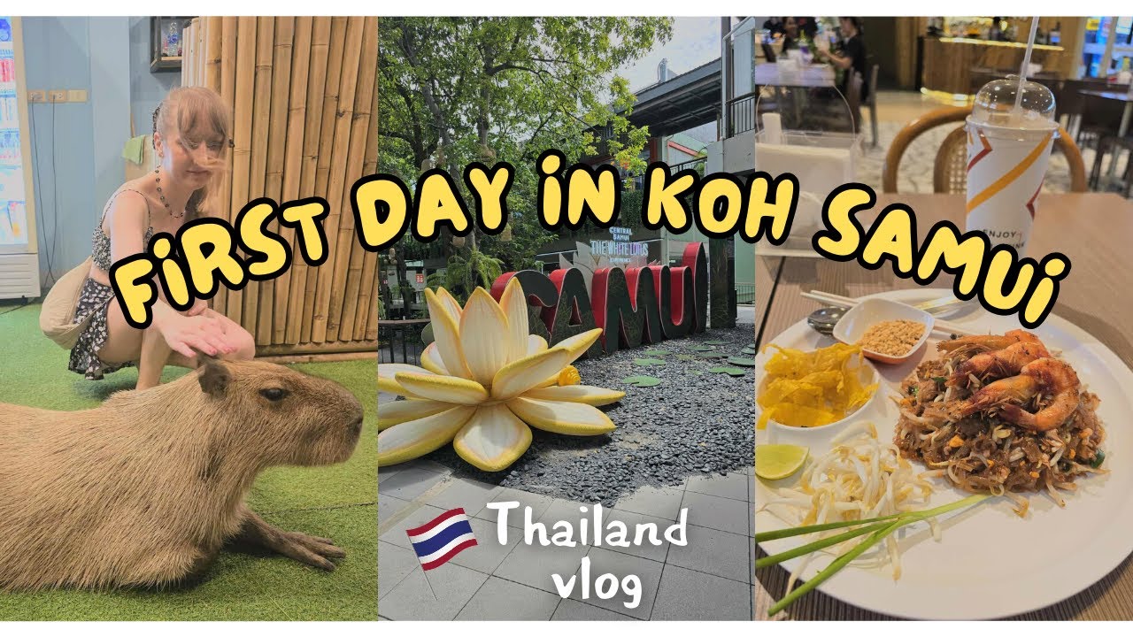 First day in Koh Samui 🇹🇭 | Capybara Café,  Bo Phut Night Market & Samui Central