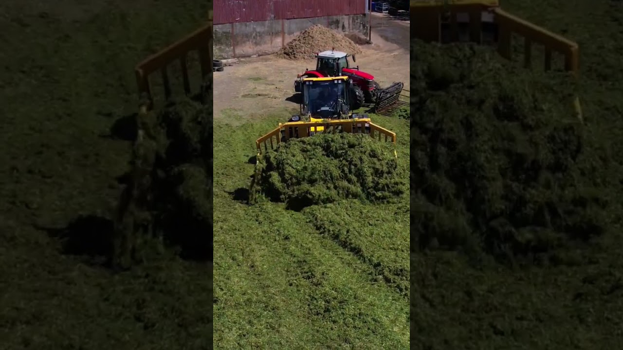 pushing away on the pit #arimagery #buckrake #jcbagriculture #masseyferguson #farming
