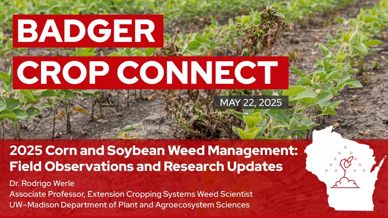2025 Corn and Soybean Weed Management: Field Observations and Research Updates Rodrigo Werle