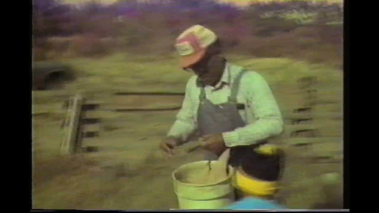 Zydeco Documentary: Bois Sec & Marceline Ardoin on the farm