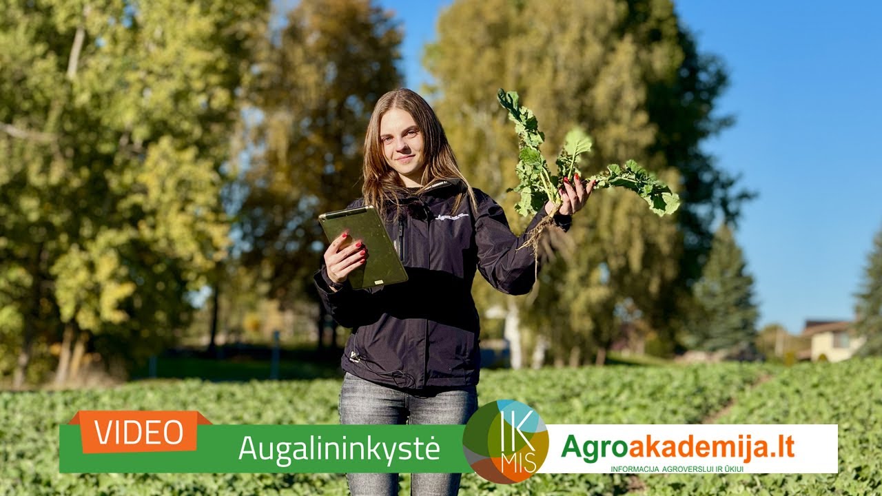 IKMIS 2024 ruduo. Pasėlių stebėjimas Alytaus krašte