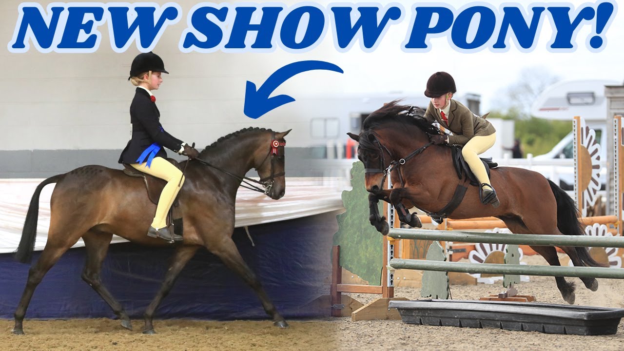 NEW SHOW PONY!! SHOW VLOG AT BSPS WINTER CHAMPIONSHIPS!