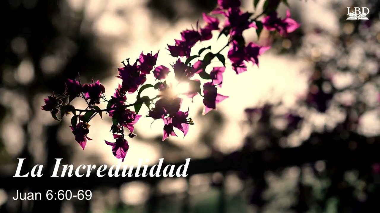 La Incredulidad - LBD