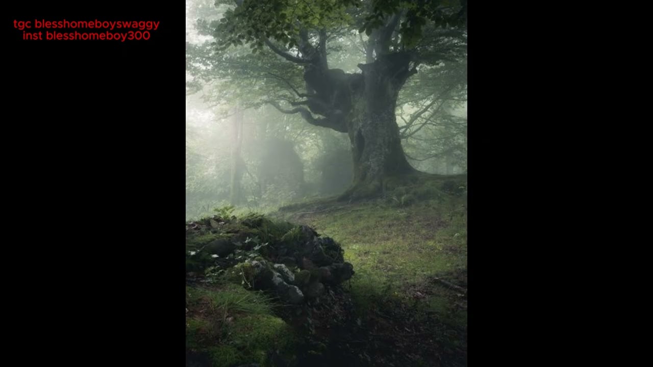 ambient plug + blesshomeboy type beat
