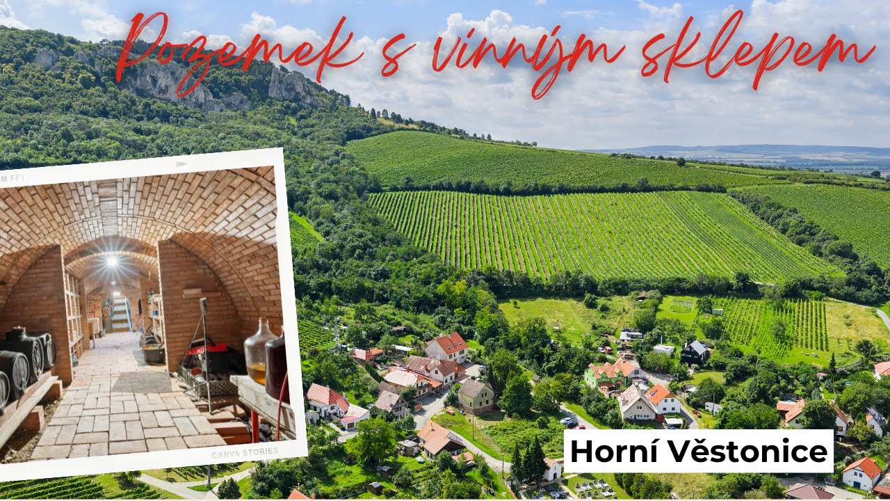 POZEMEK S VINNÝM SKLEPEM POD PÁLAVOU, HORNÍ VĚSTONICE