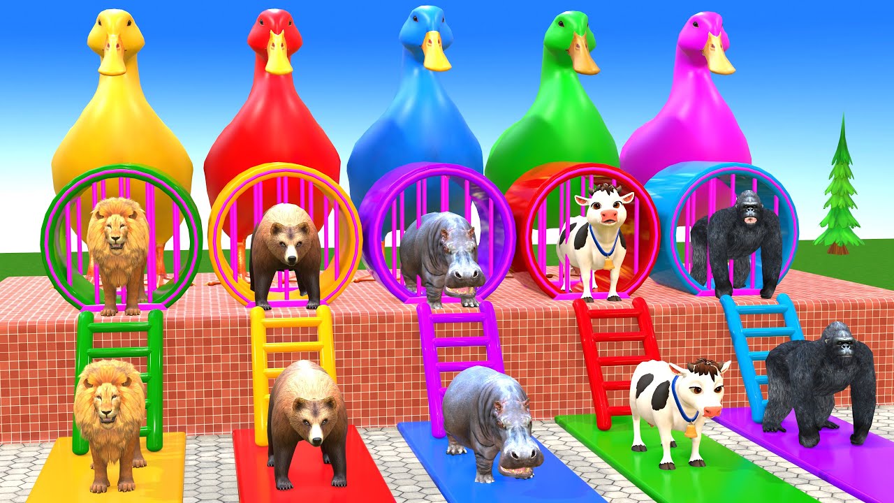Long Slide Game With Cow Elephant Gorilla Hippopotamus Tiger 3d Animal Game Funny 3d Animals