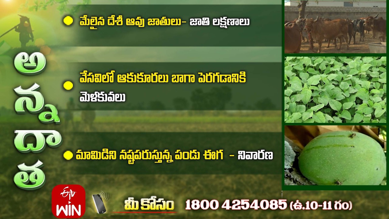 17th March 2026 | Annadata | అన్నదాత | Full Episode | ETV Telugu